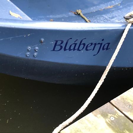 Вилла Houseboat Linquenda Woubrugge Экстерьер фото